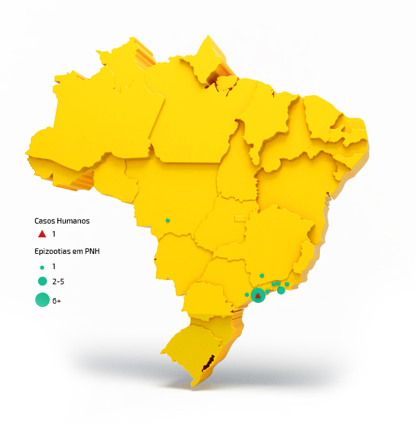 mapa_amarelo